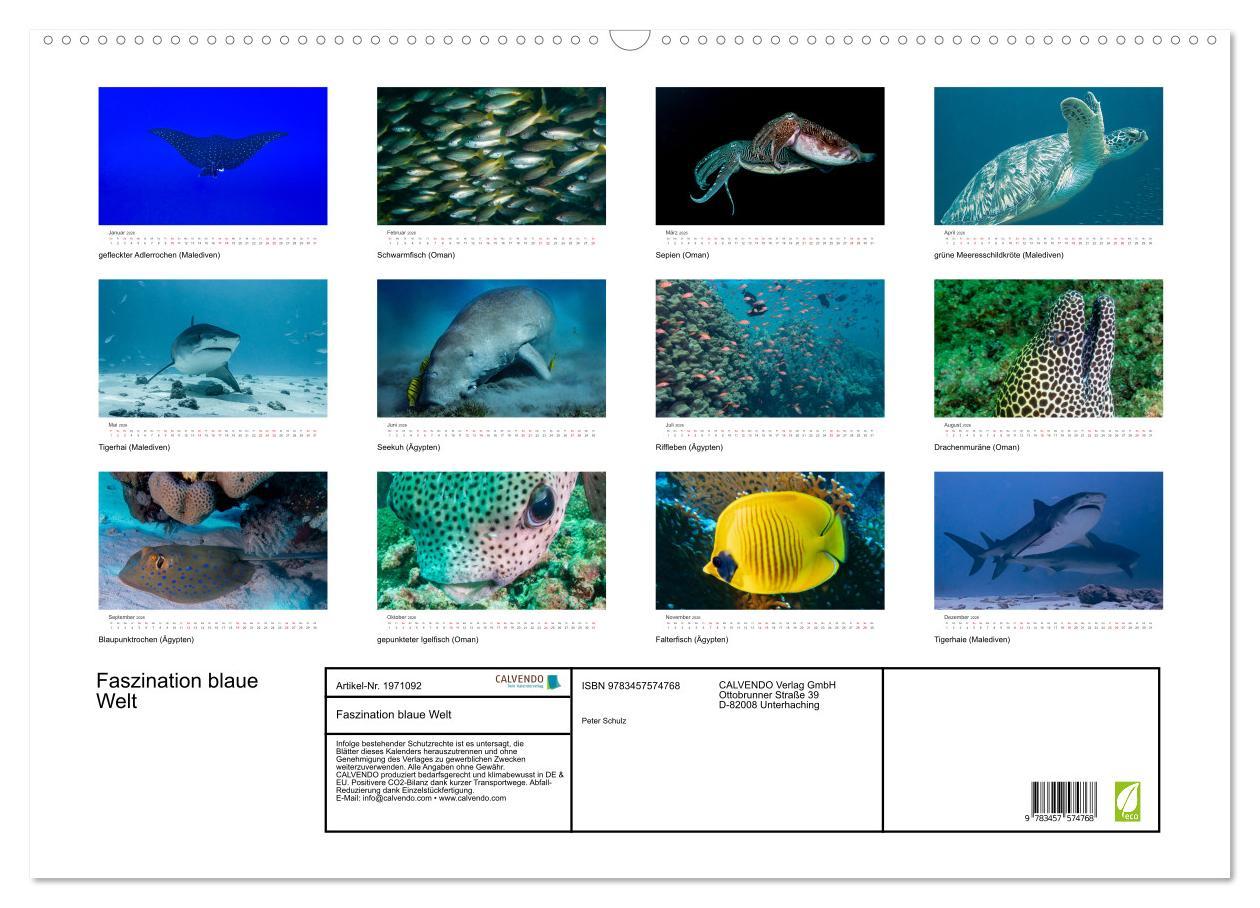 Beispielinhalt (Bild) Faszination blaue Welt (Wandkalender 2026 DIN A2 quer), CALVENDO Monatskalender