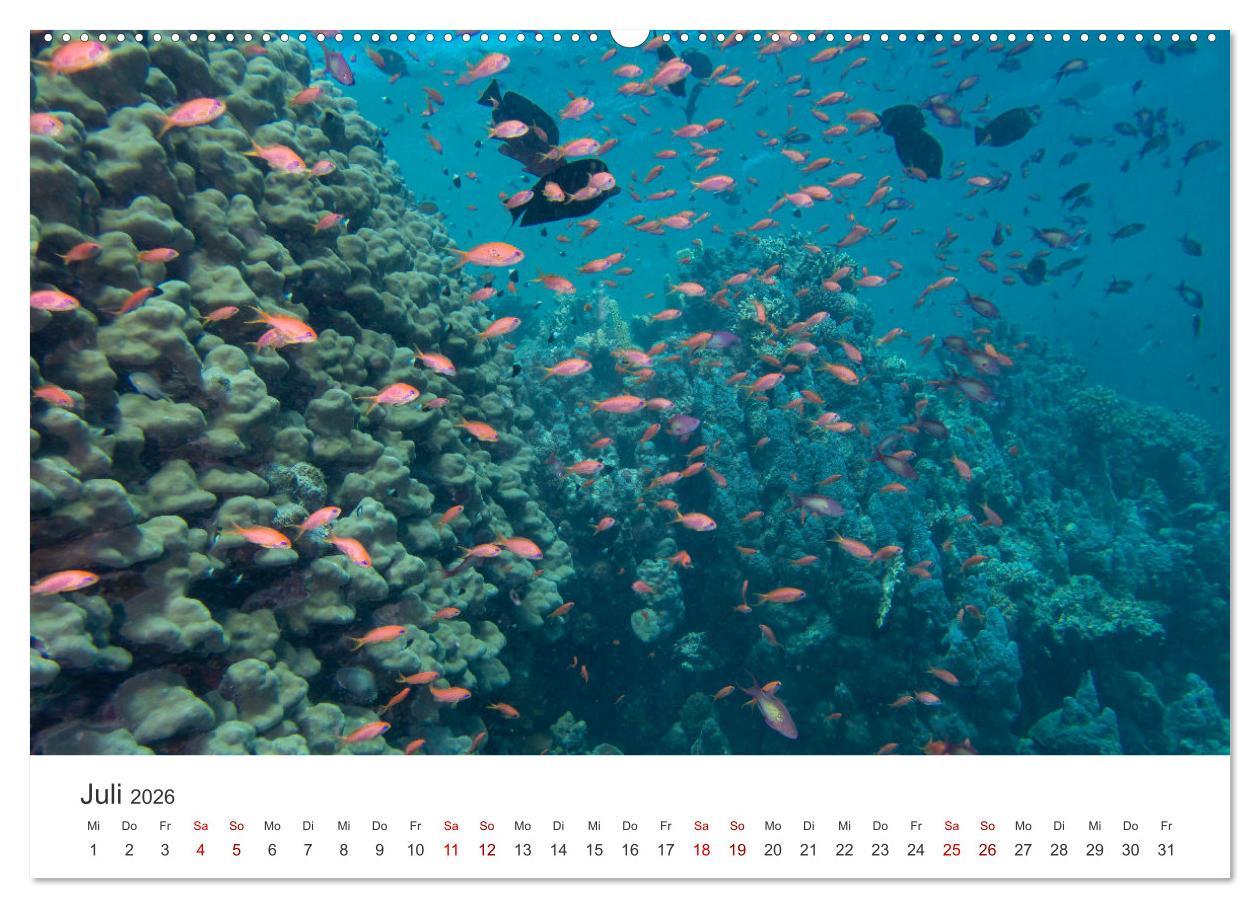 Beispielinhalt (Bild) Faszination blaue Welt (Wandkalender 2026 DIN A2 quer), CALVENDO Monatskalender