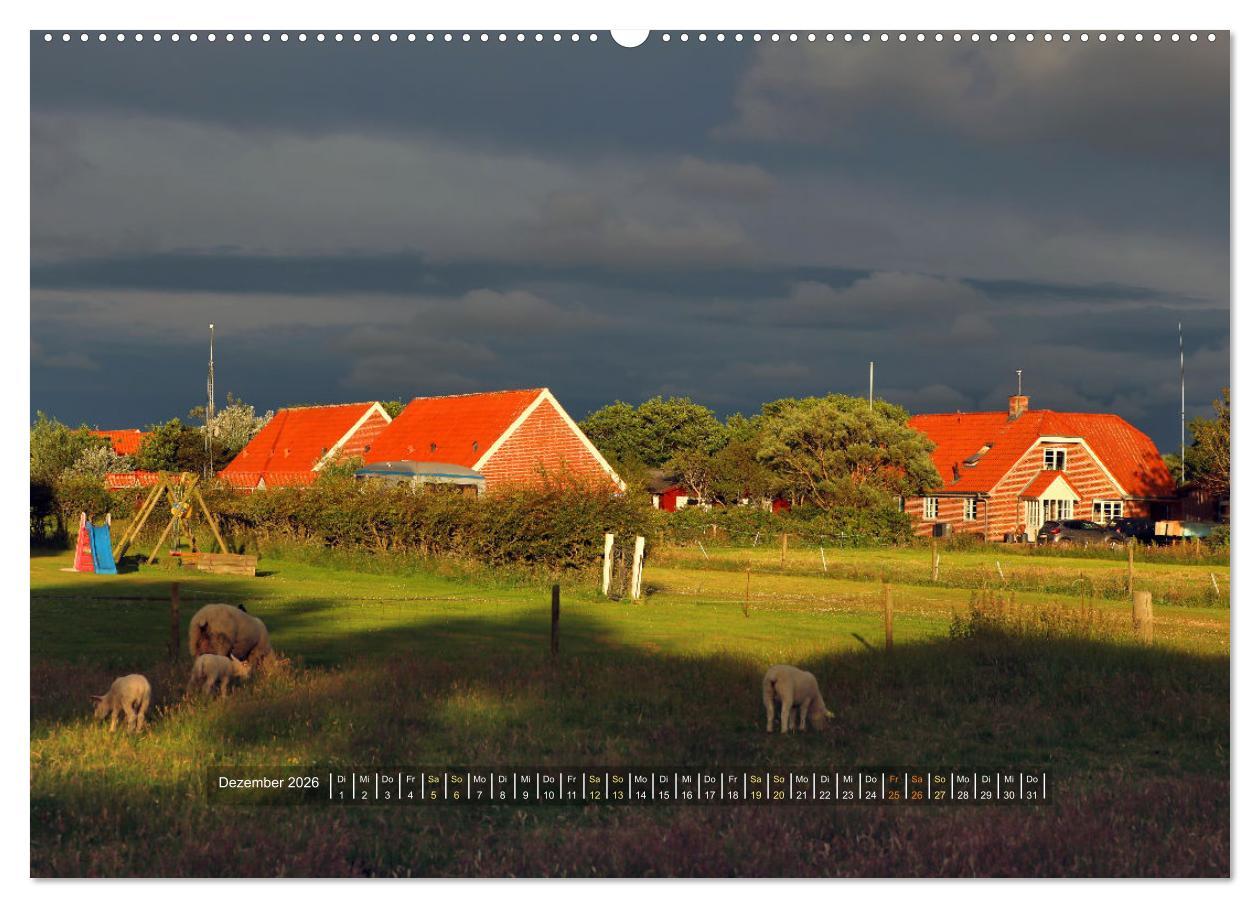 Beispielinhalt (Bild) Mandø - Perle im dänischen Wattenmeer (hochwertiger Premium Wandkalender 2026 DIN A2 quer), Kunstdruck in Hochglanz