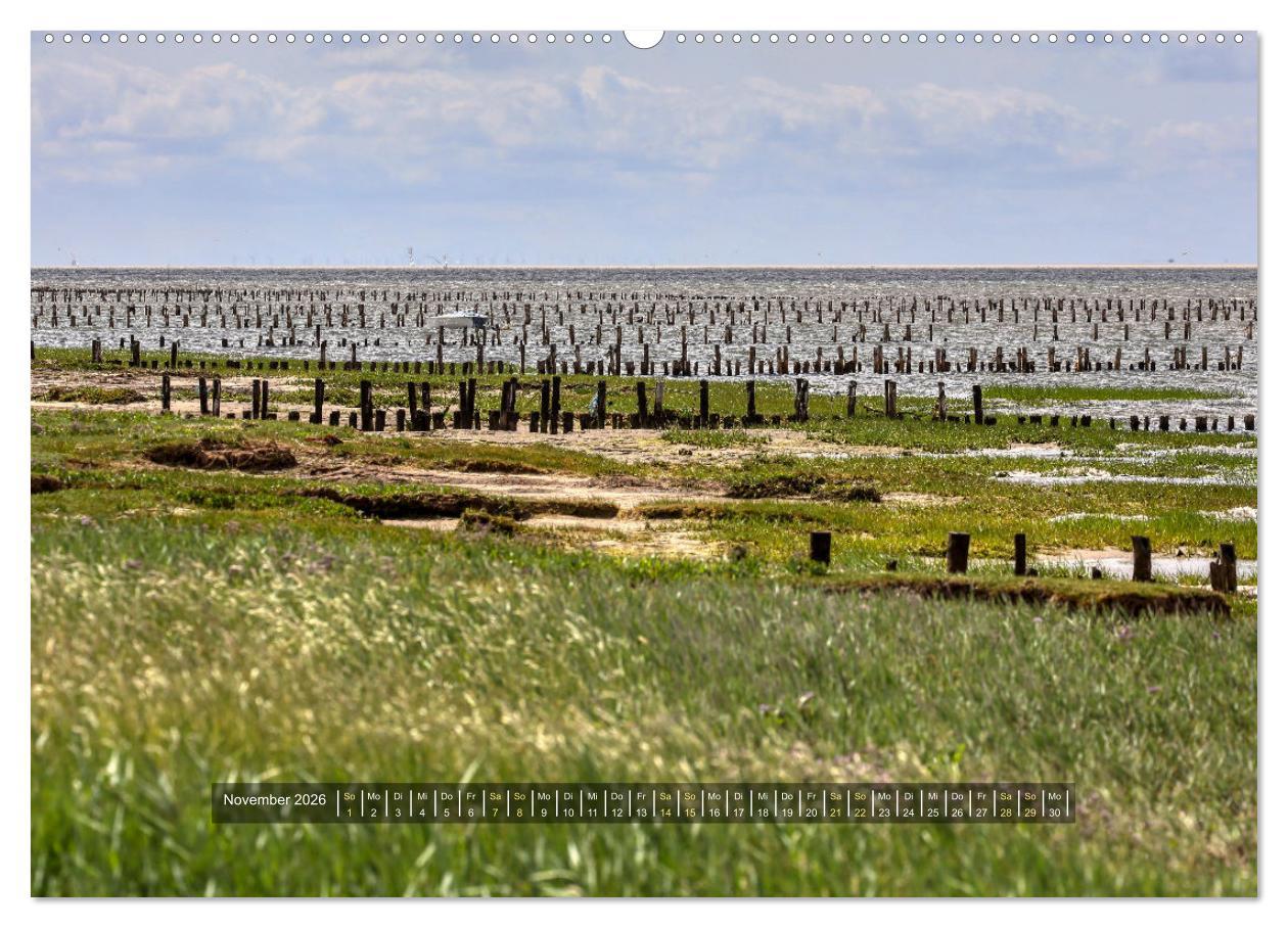 Beispielinhalt (Bild) Mandø - Perle im dänischen Wattenmeer (hochwertiger Premium Wandkalender 2026 DIN A2 quer), Kunstdruck in Hochglanz