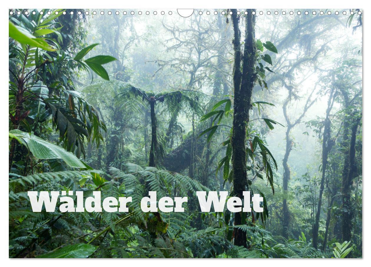 Vorderes Coverbild Wälder der Welt (Wandkalender 2026 DIN A3 quer), CALVENDO Monatskalender