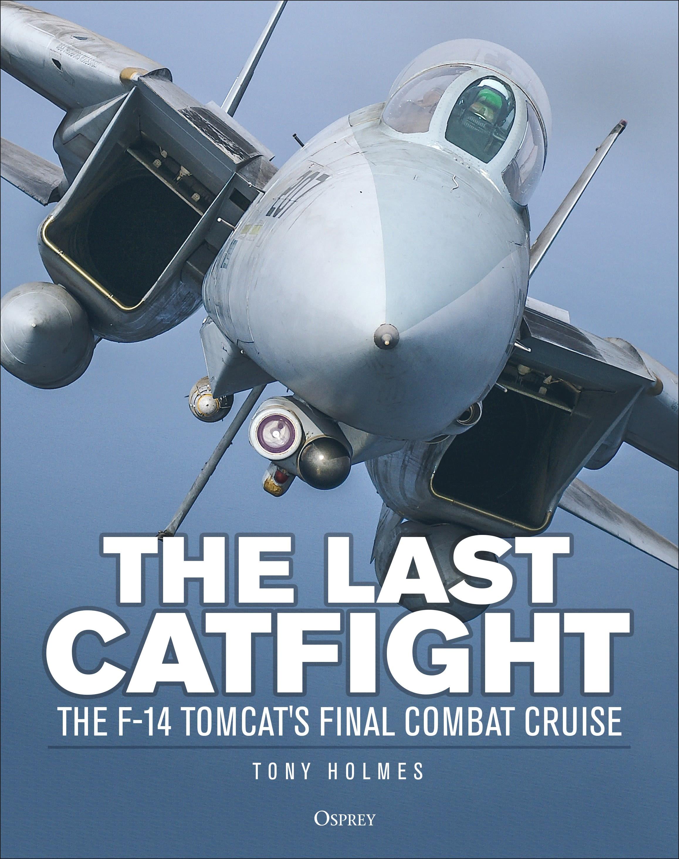 Vorderes Coverbild The Last Catfight