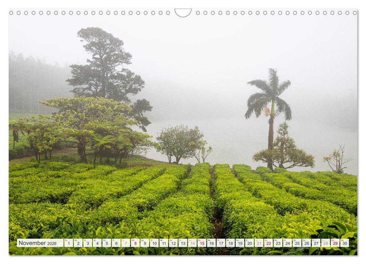 Beispielinhalt (Bild) Trauminseln der Welt - Mauritius (Wandkalender 2026 DIN A3 quer), CALVENDO Monatskalender