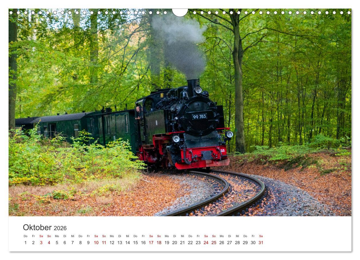 Beispielinhalt (Bild) Ein ganzes Jahr unter Volldampf! (Wandkalender 2026 DIN A3 quer), CALVENDO Monatskalender