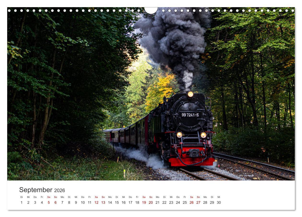 Beispielinhalt (Bild) Ein ganzes Jahr unter Volldampf! (Wandkalender 2026 DIN A3 quer), CALVENDO Monatskalender