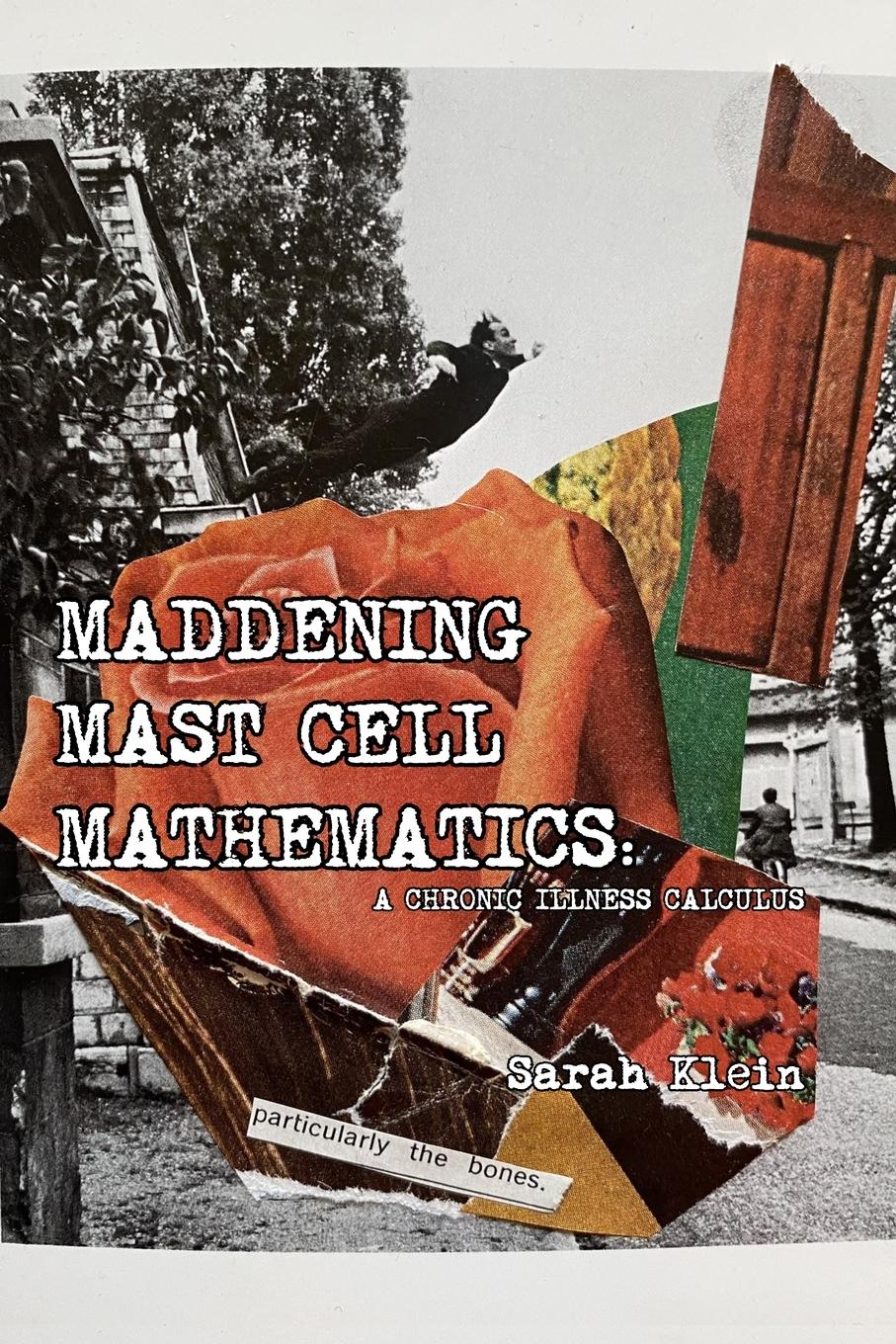 Vorderes Coverbild Maddening Mast Cell Mathematics