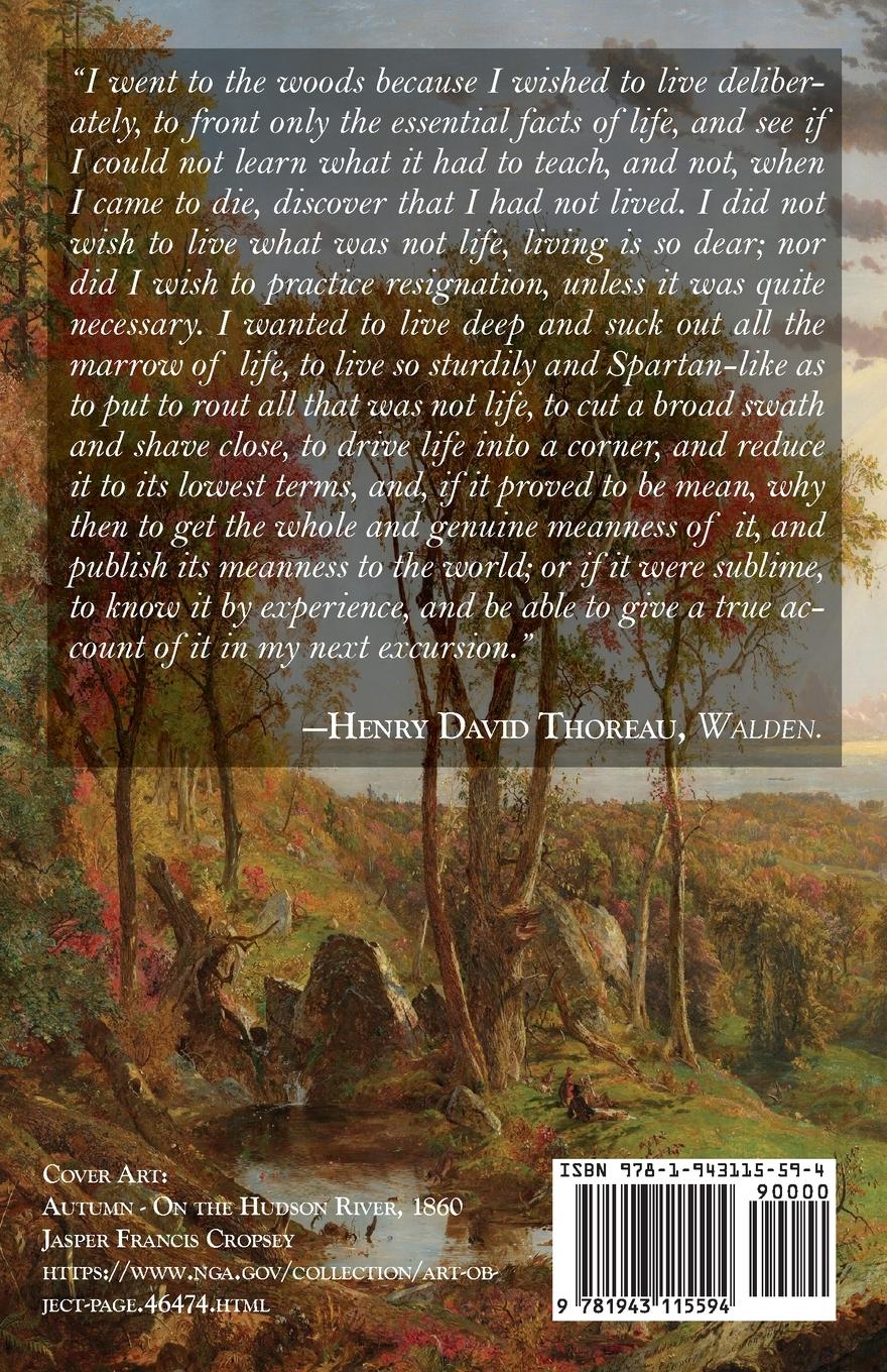 Rückseitencover The Sun Shines