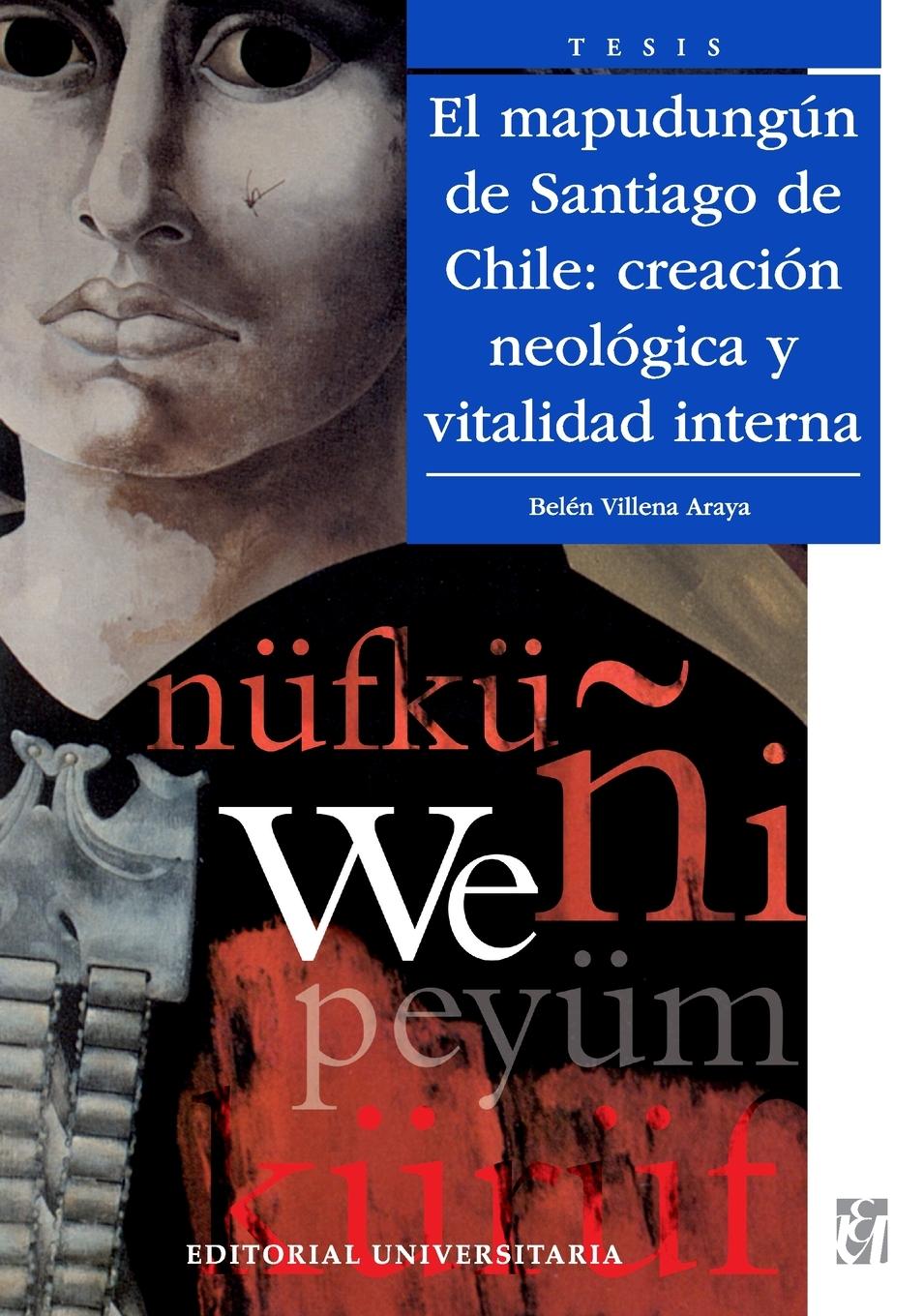 Vorderes Coverbild El mapudung n de Santiago de Chile