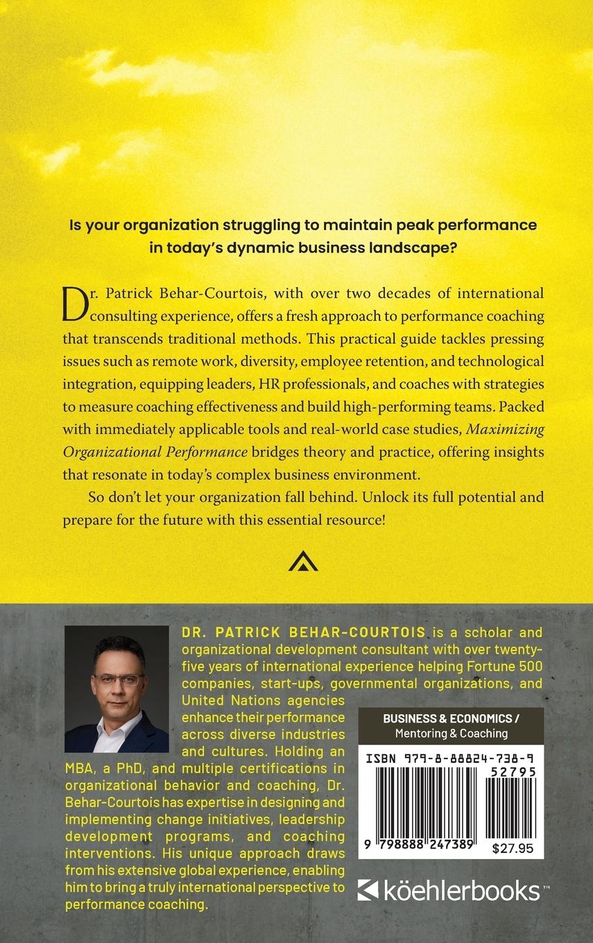 Rückseitencover Maximizing Organizational Performance