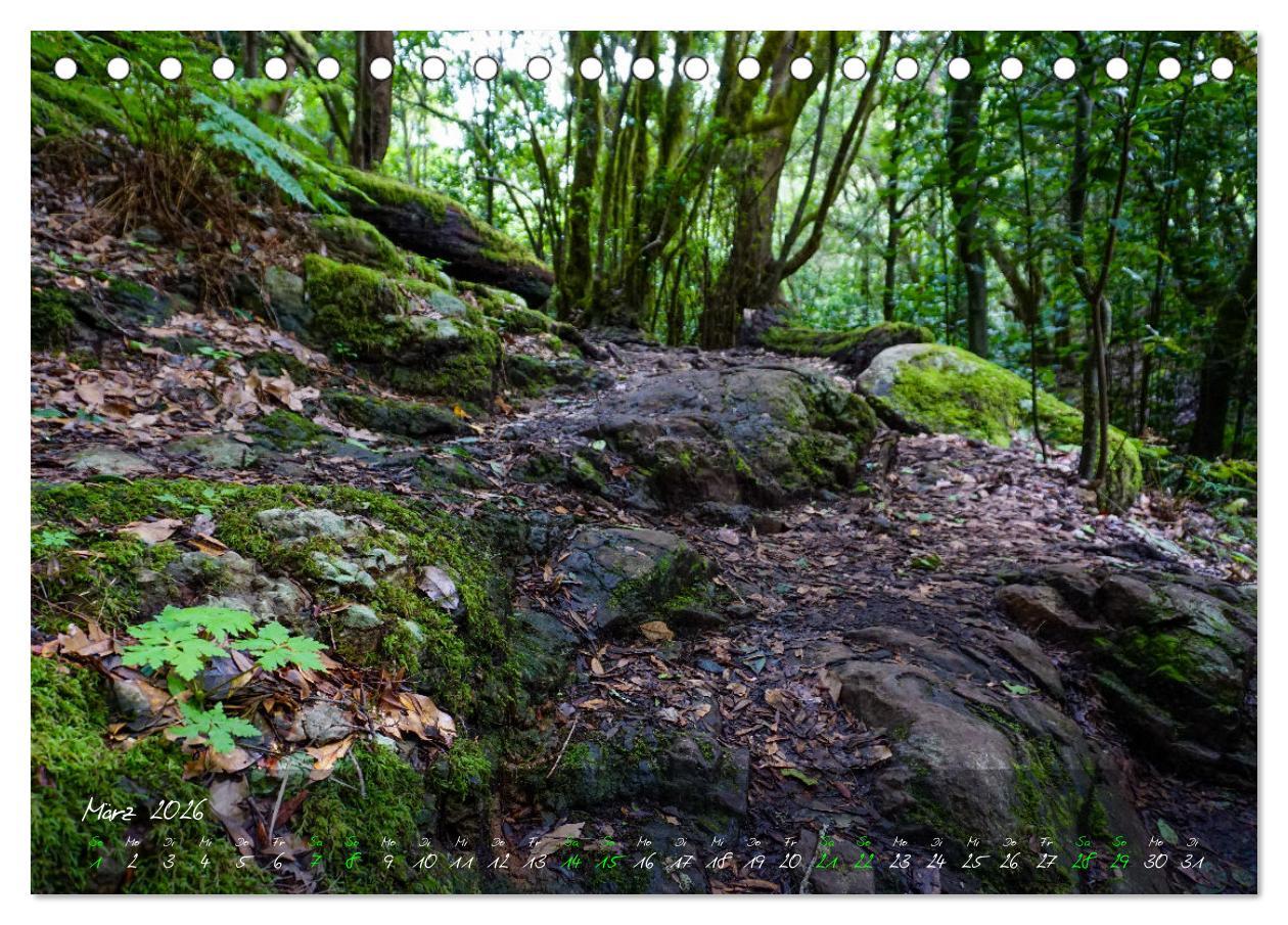 Beispielinhalt (Bild) Magisches La Gomera (Tischkalender 2026 DIN A5 quer), CALVENDO Monatskalender