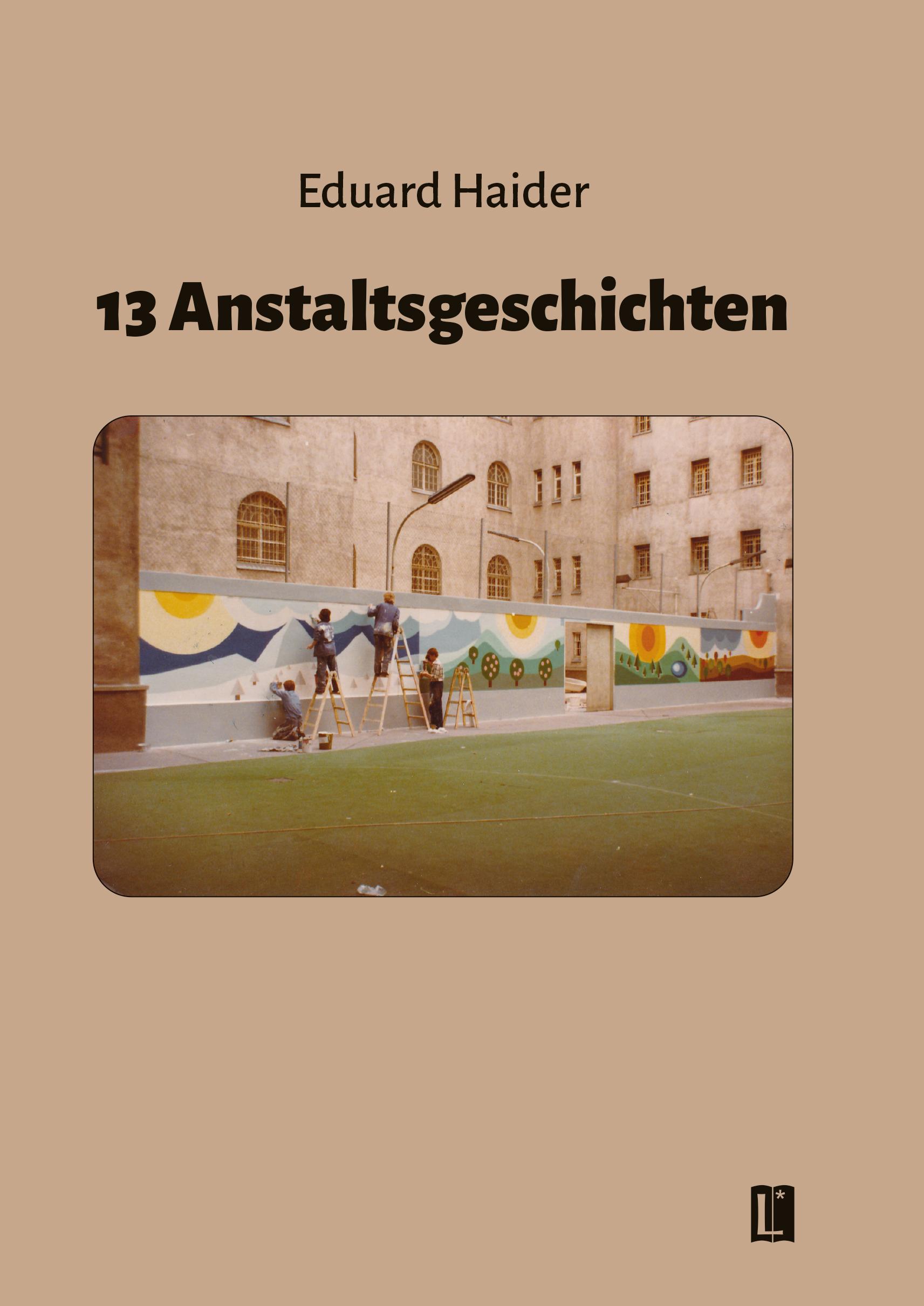 Vorderes Coverbild 13 Anstaltsgeschichten