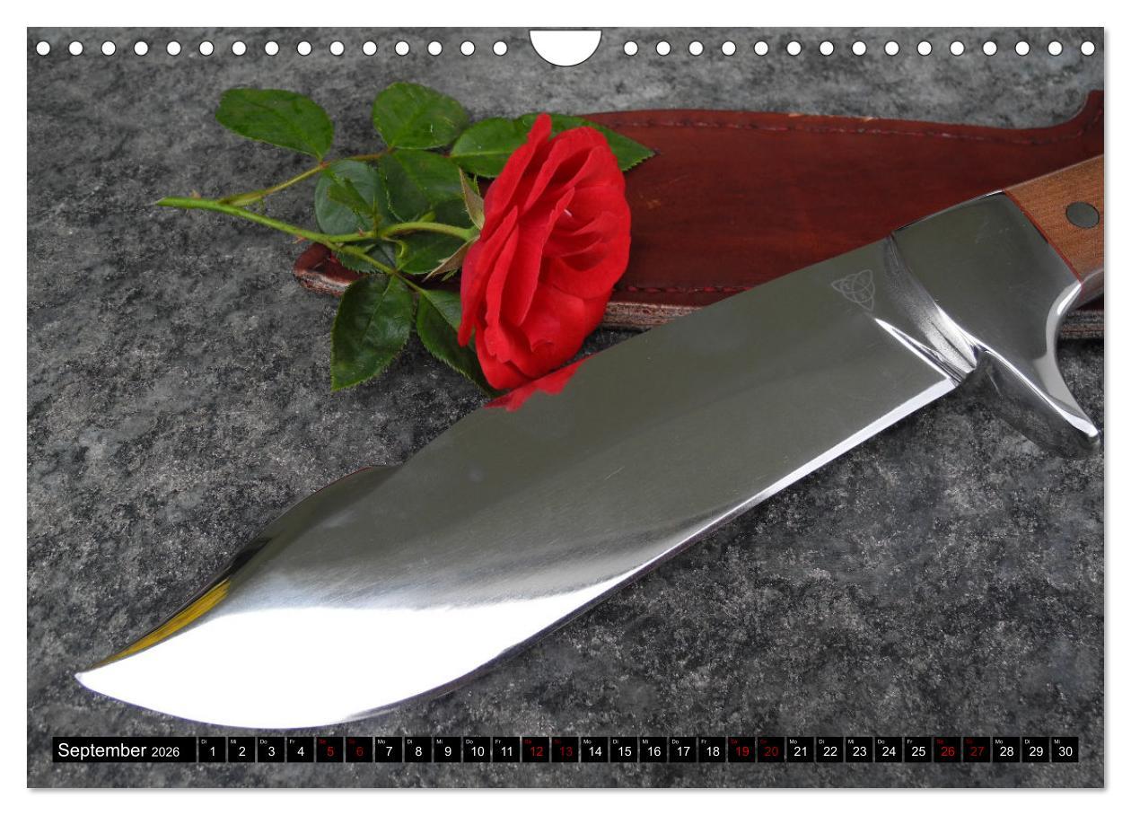 Beispielinhalt (Bild) Schön - Scharf - Schnittig (Wandkalender 2026 DIN A4 quer), CALVENDO Monatskalender