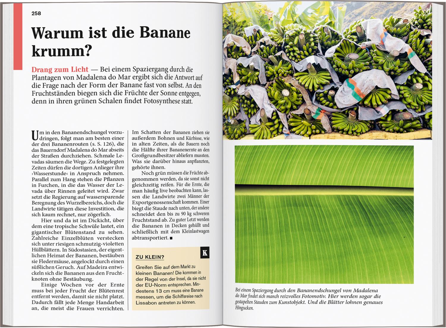 Beispielinhalt (Bild) DUMONT Reise-Taschenbuch Reiseführer Madeira