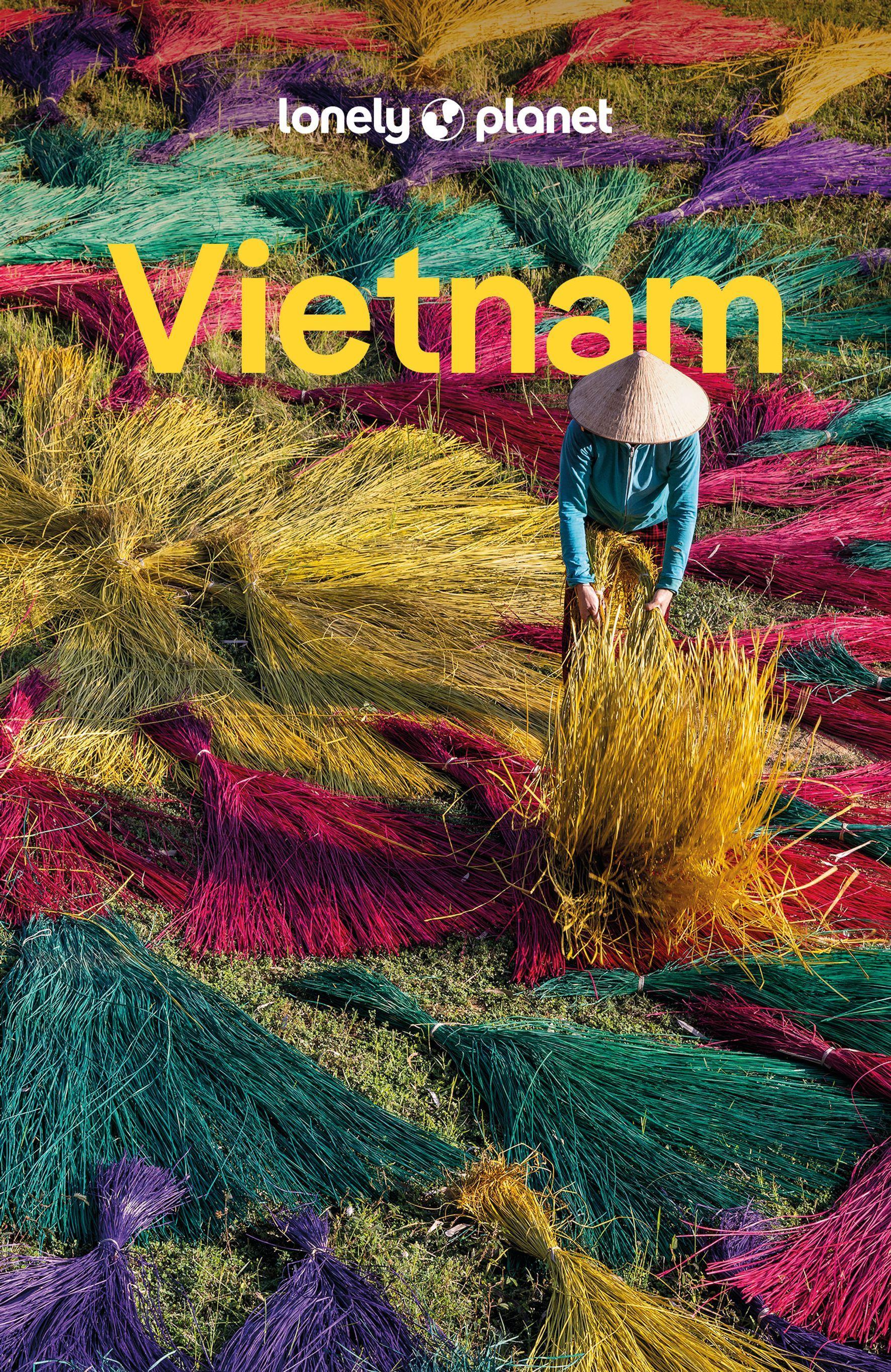 Vorderes Coverbild LONELY PLANET Reiseführer Vietnam