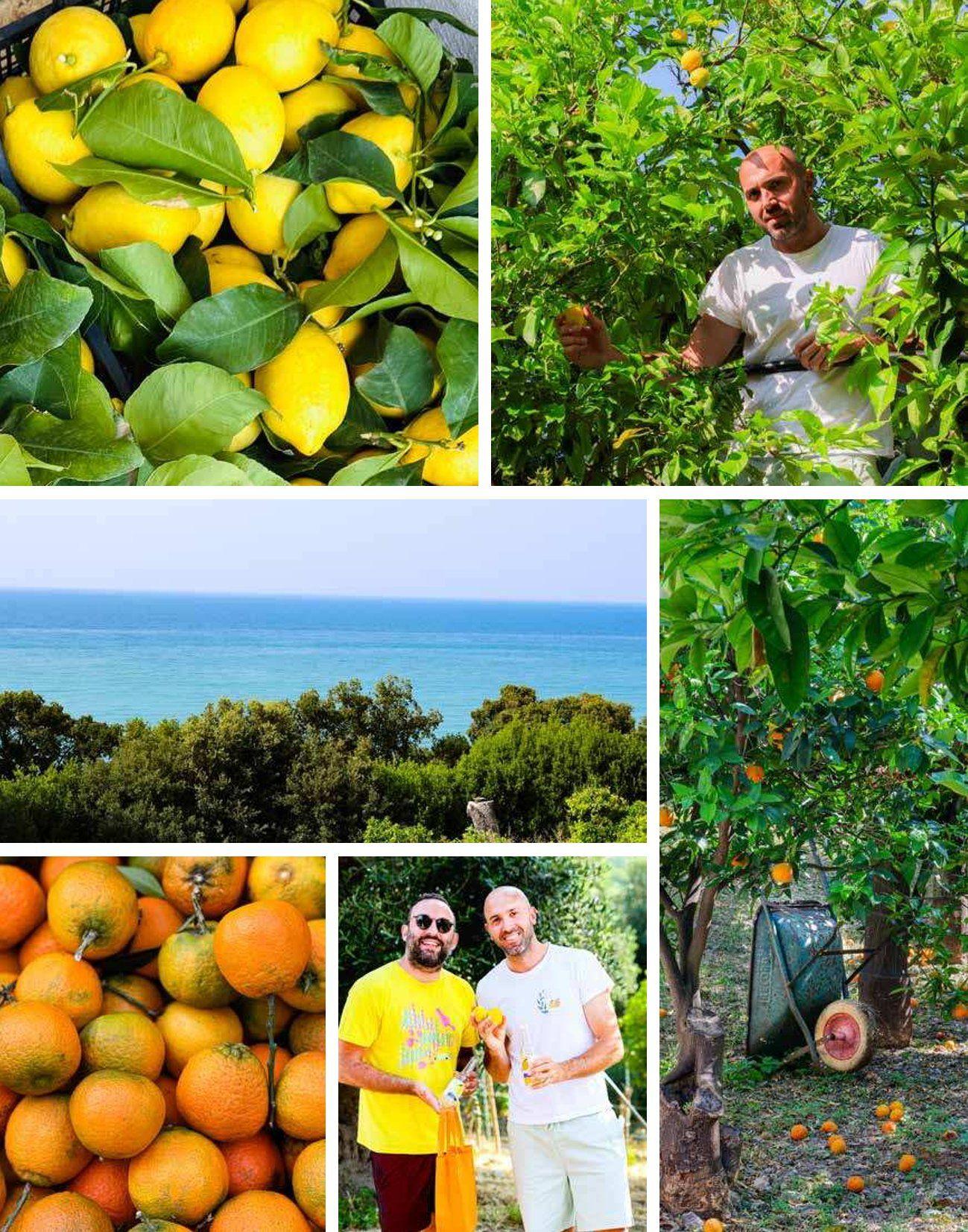 Beispielinhalt (Bild) Amore per Puglia