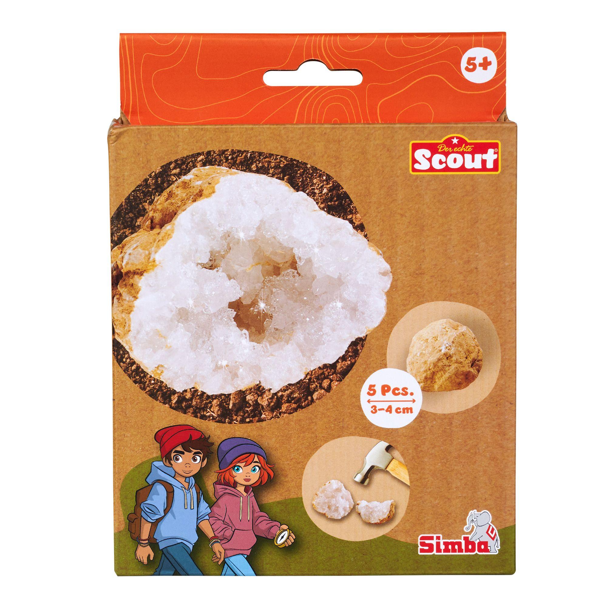 Vorderes Coverbild Scout Geoden 5 Stück