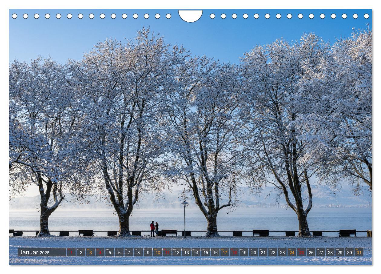 Beispielinhalt (Bild) Die Halbinsel Mettnau - Erholungsort im Bodensee (Wandkalender 2026 DIN A4 quer), CALVENDO Monatskalender