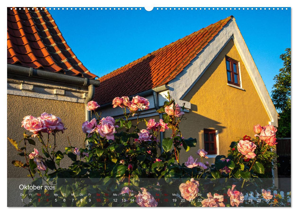 Beispielinhalt (Bild) Sommer in Nordjütland (hochwertiger Premium Wandkalender 2026 DIN A2 quer), Kunstdruck in Hochglanz