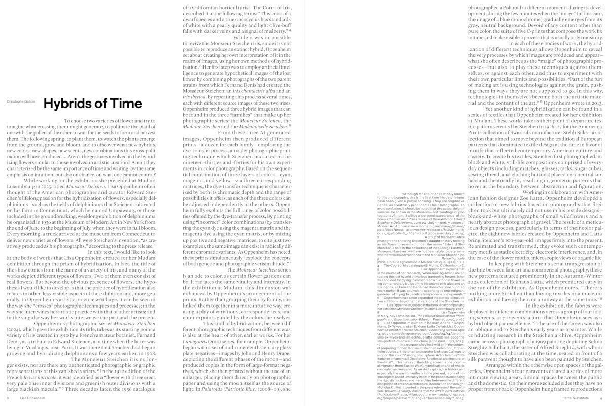 Beispielinhalt (Bild) Lisa Oppenheim: The Eternal Substitute