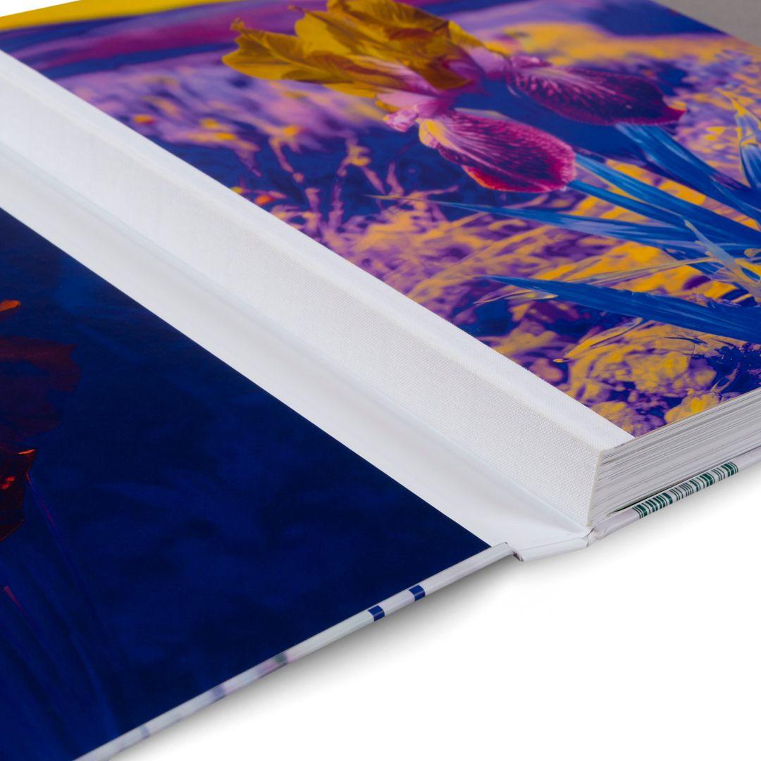 Beispielinhalt (Bild) Lisa Oppenheim: The Eternal Substitute