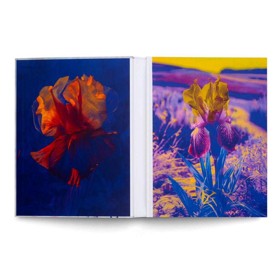 Beispielinhalt (Bild) Lisa Oppenheim: The Eternal Substitute