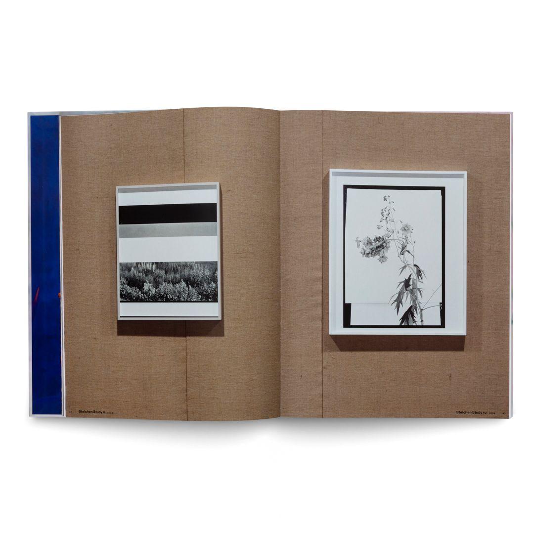 Beispielinhalt (Bild) Lisa Oppenheim: The Eternal Substitute