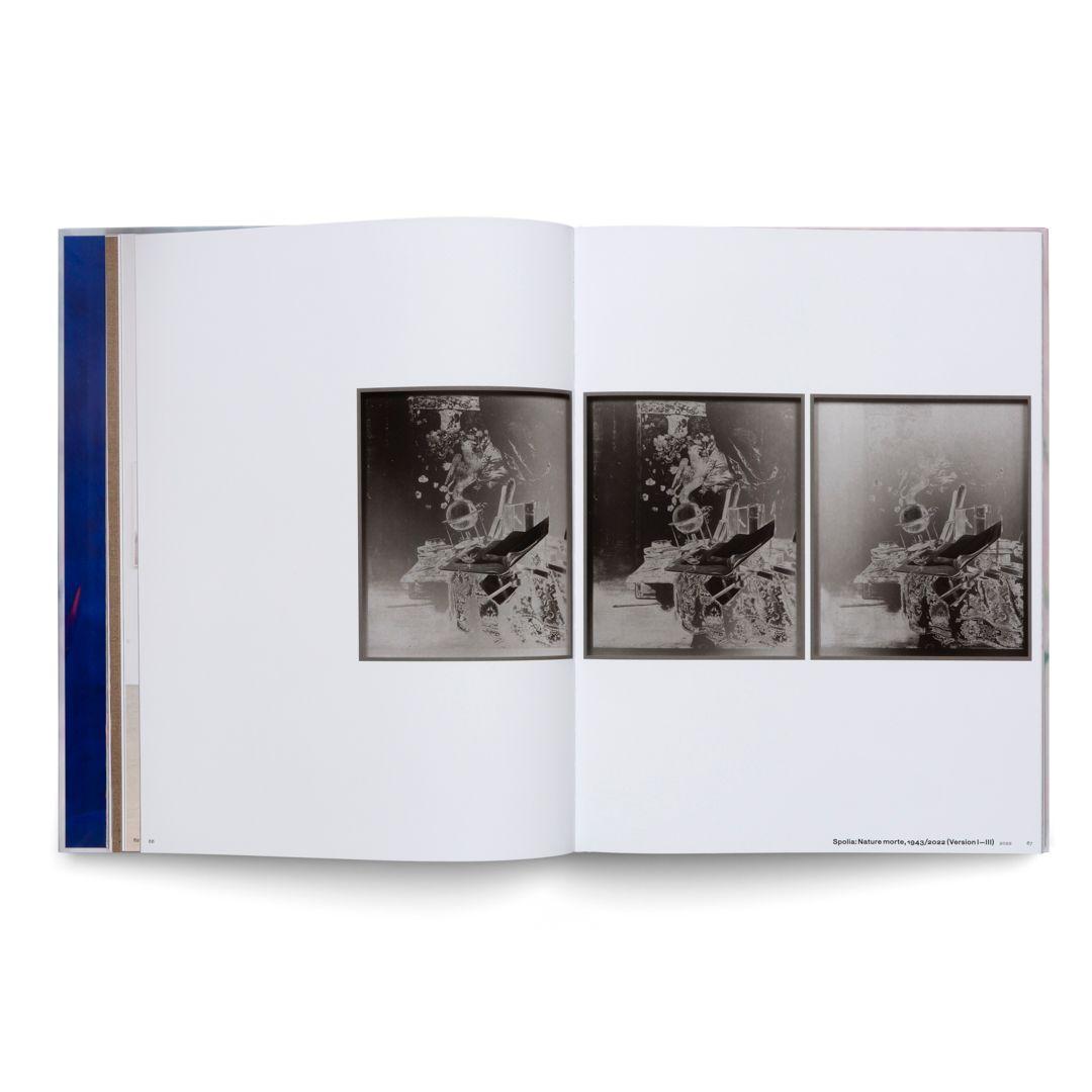 Beispielinhalt (Bild) Lisa Oppenheim: The Eternal Substitute