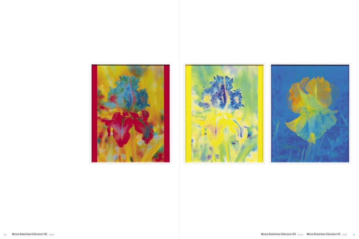 Beispielinhalt (Bild) Lisa Oppenheim: The Eternal Substitute