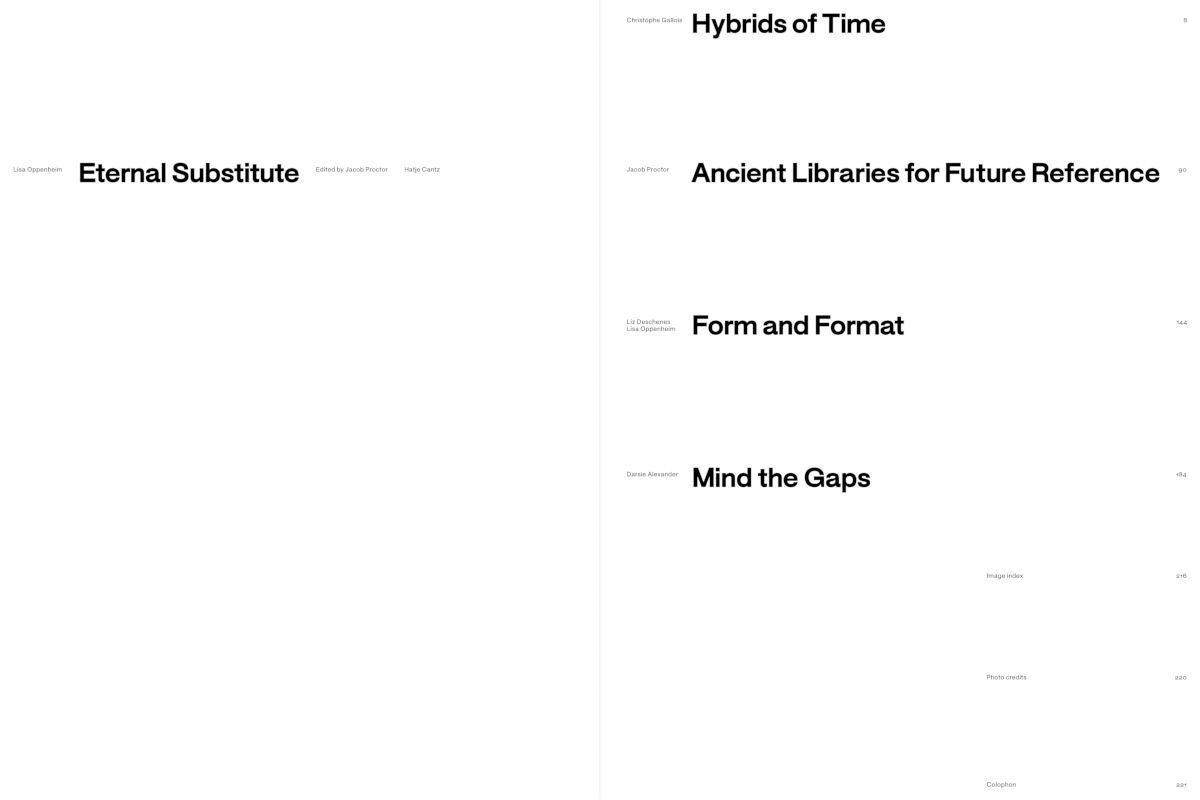 Beispielinhalt (Bild) Lisa Oppenheim: The Eternal Substitute