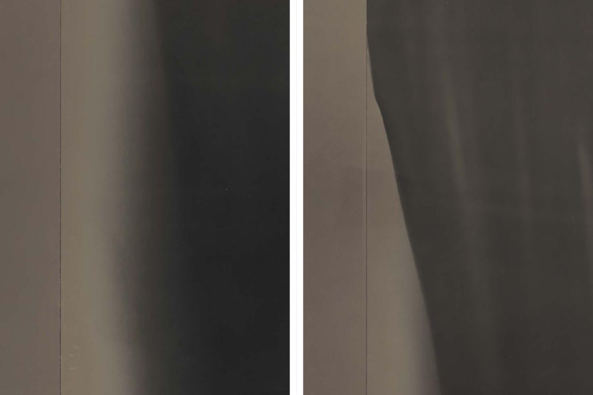 Beispielinhalt (Bild) Lisa Oppenheim: The Eternal Substitute