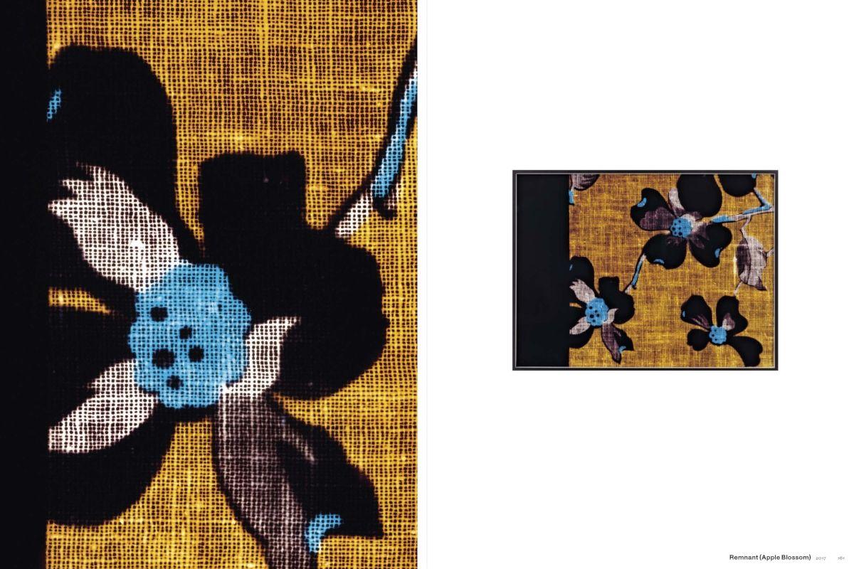 Beispielinhalt (Bild) Lisa Oppenheim: The Eternal Substitute