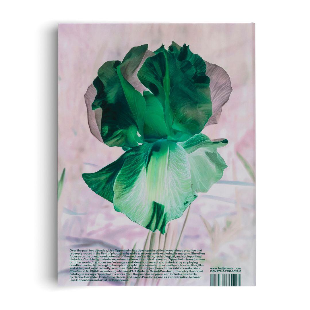 Beispielinhalt (Bild) Lisa Oppenheim: The Eternal Substitute