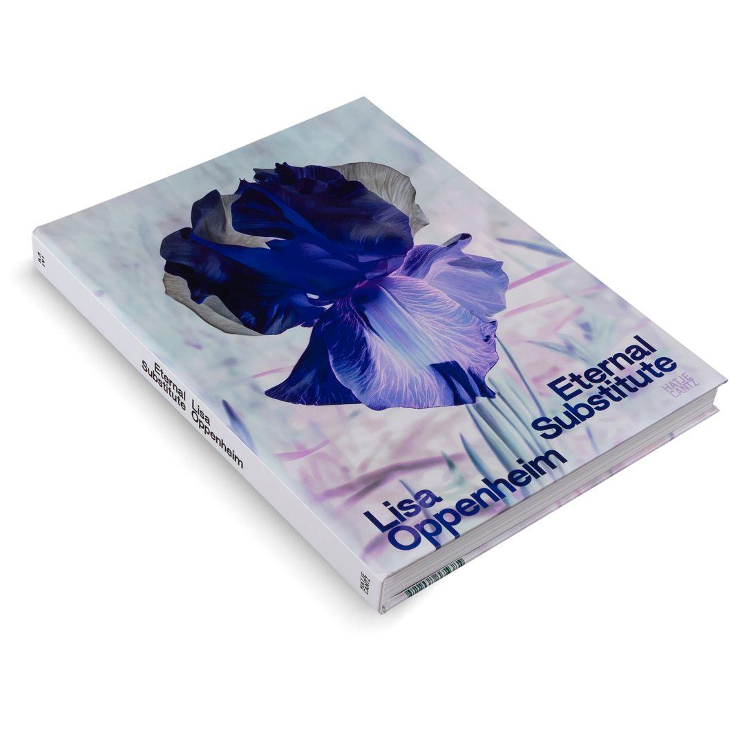 Beispielinhalt (Bild) Lisa Oppenheim: The Eternal Substitute
