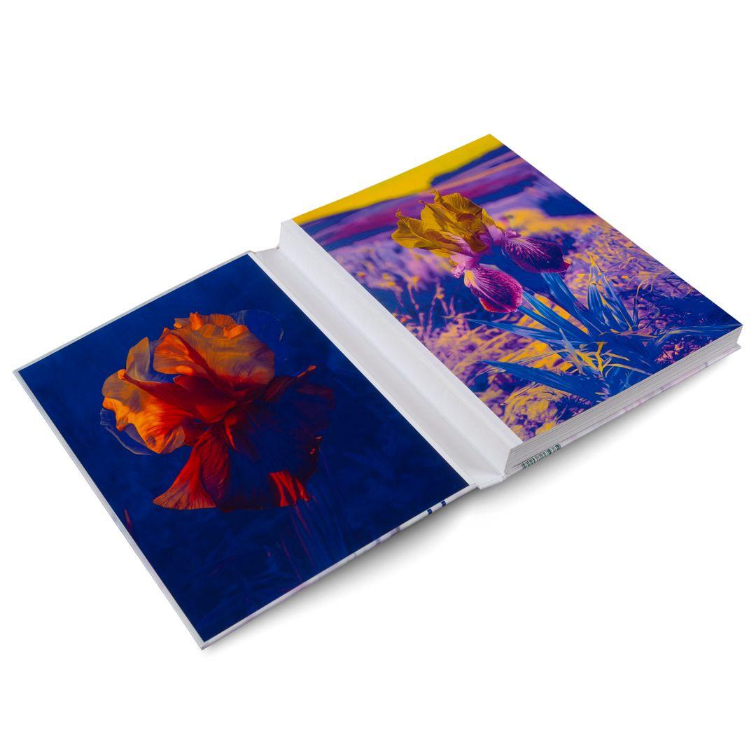 Beispielinhalt (Bild) Lisa Oppenheim: The Eternal Substitute