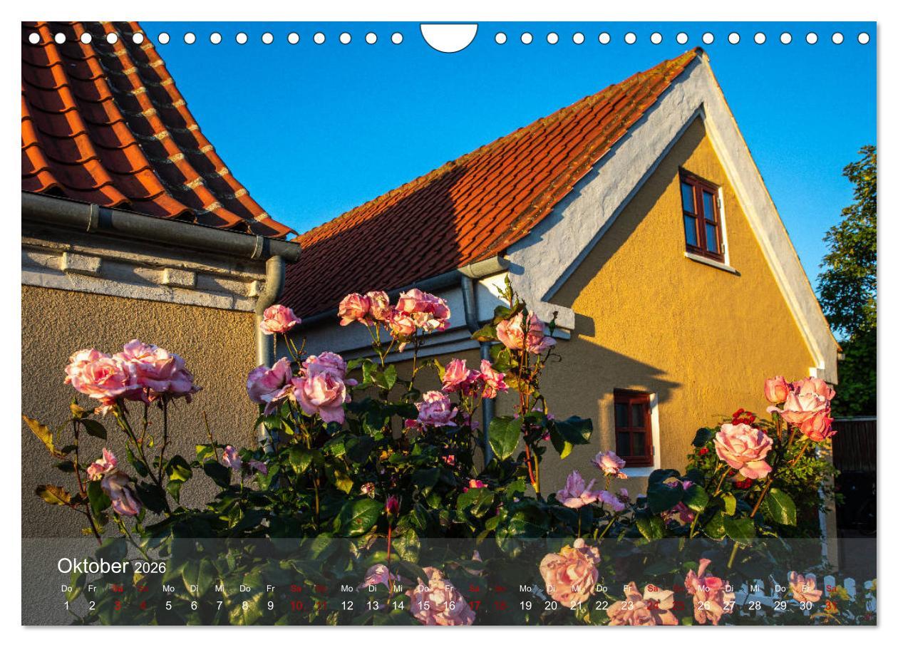 Beispielinhalt (Bild) Sommer in Nordjütland (Wandkalender 2026 DIN A4 quer), CALVENDO Monatskalender