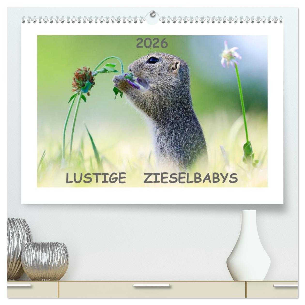 Vorderes Coverbild Lustige Zieselbabys (hochwertiger Premium Wandkalender 2026 DIN A2 quer), Kunstdruck in Hochglanz