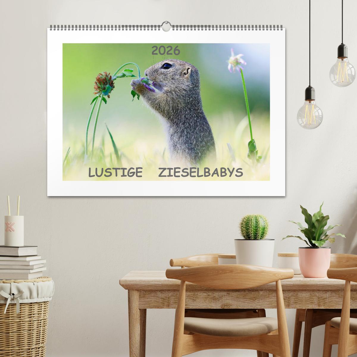 Beispielinhalt (Bild) Lustige Zieselbabys (Wandkalender 2026 DIN A2 quer), CALVENDO Monatskalender