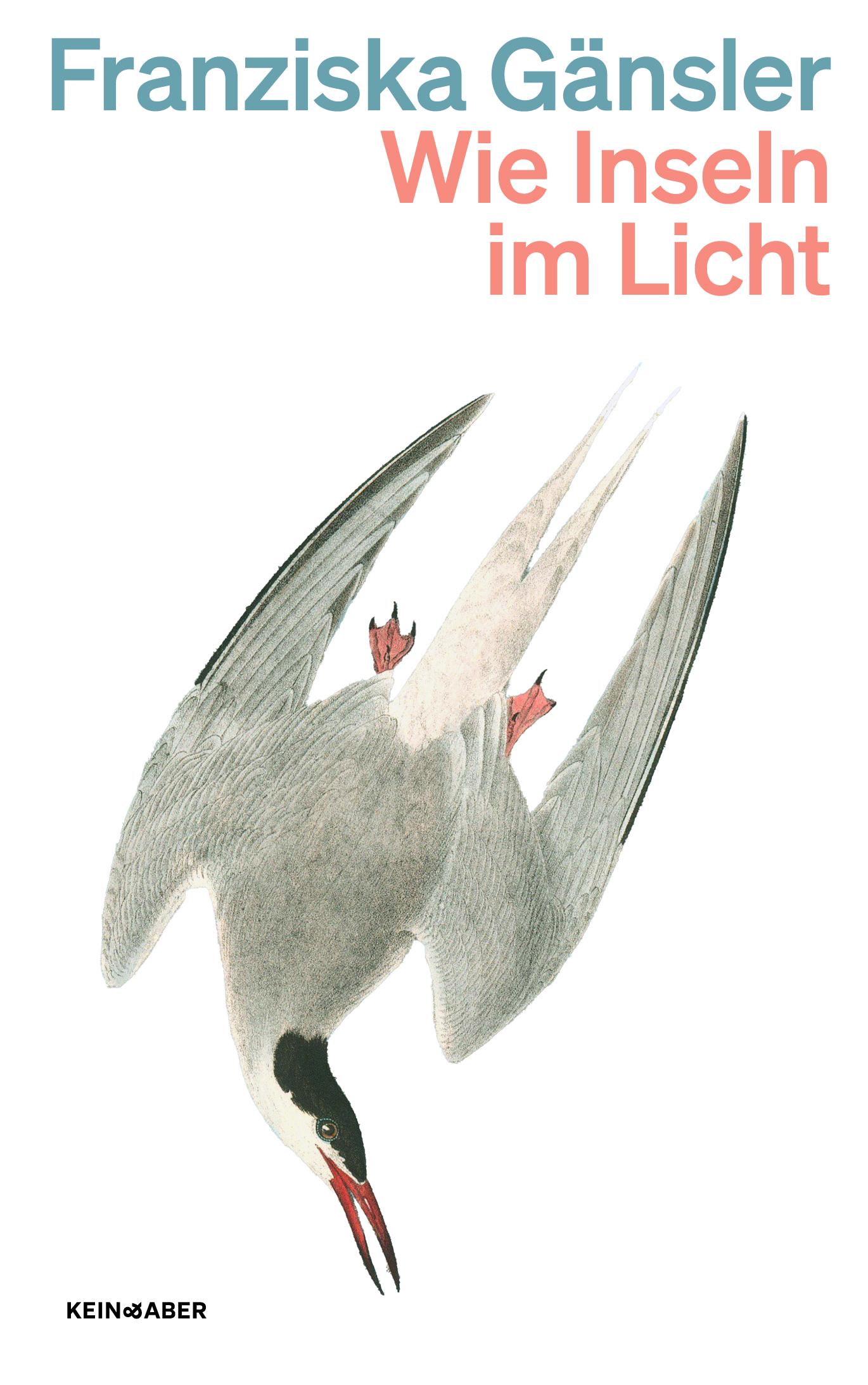 Vorderes Coverbild Wie Inseln im Licht
