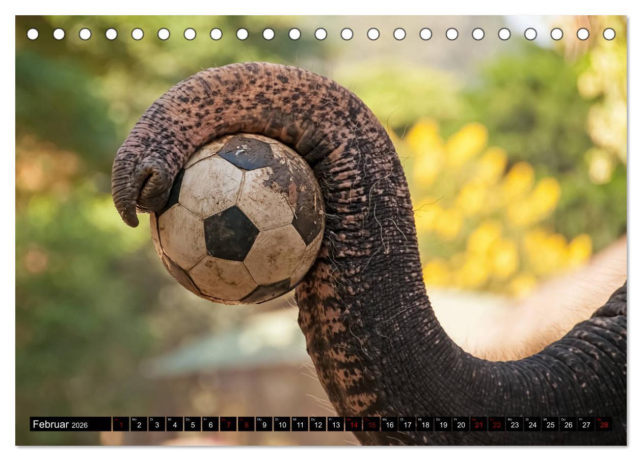 Beispielinhalt (Bild) Thailand abseits der Strände (Tischkalender 2026 DIN A5 quer), CALVENDO Monatskalender