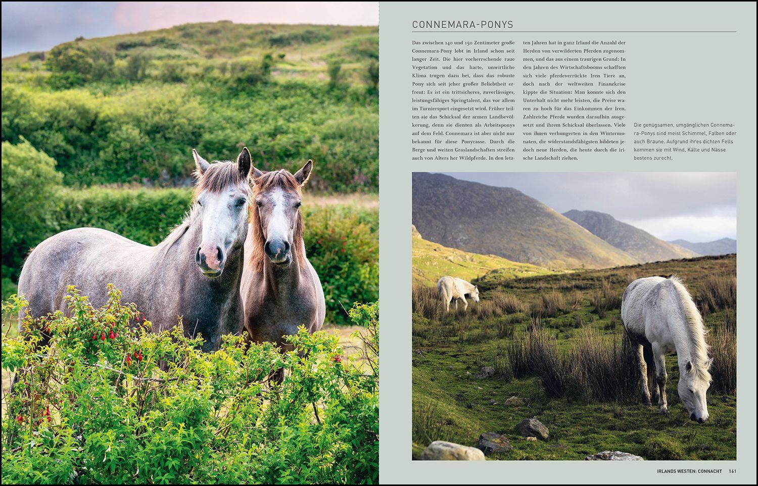 Beispielinhalt (Bild) KUNTH Irland. Das Buch