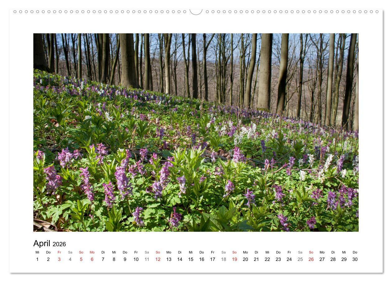 Beispielinhalt (Bild) Impressionen aus Ostwestfalen-Lippe (hochwertiger Premium Wandkalender 2026 DIN A2 quer), Kunstdruck in Hochglanz