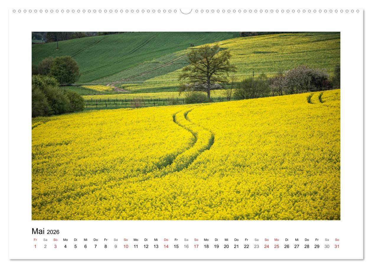 Beispielinhalt (Bild) Impressionen aus Ostwestfalen-Lippe (hochwertiger Premium Wandkalender 2026 DIN A2 quer), Kunstdruck in Hochglanz