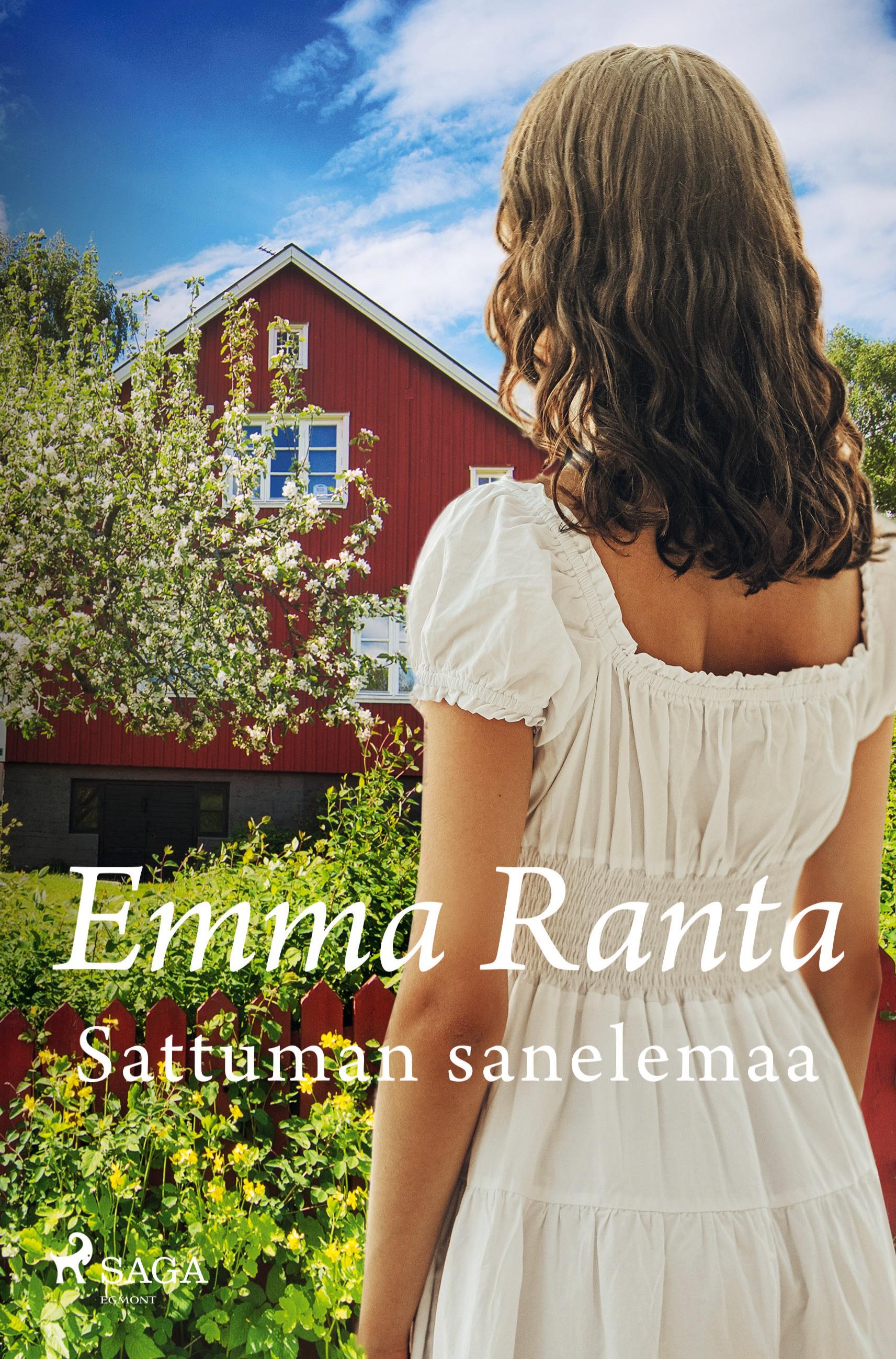Vorderes Coverbild Sattuman sanelemaa