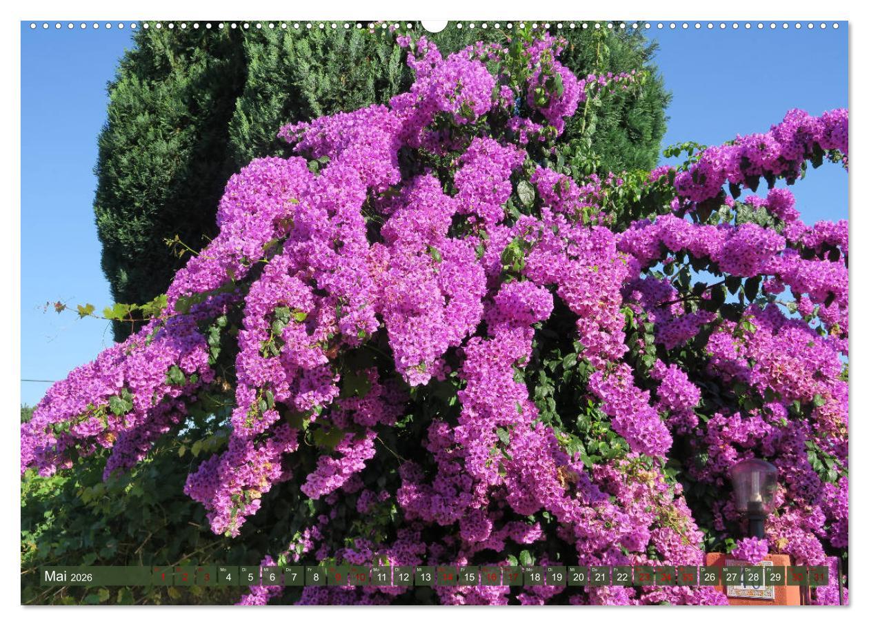 Beispielinhalt (Bild) Von Porto nach Santiago de Compostela (hochwertiger Premium Wandkalender 2026 DIN A2 quer), Kunstdruck in Hochglanz