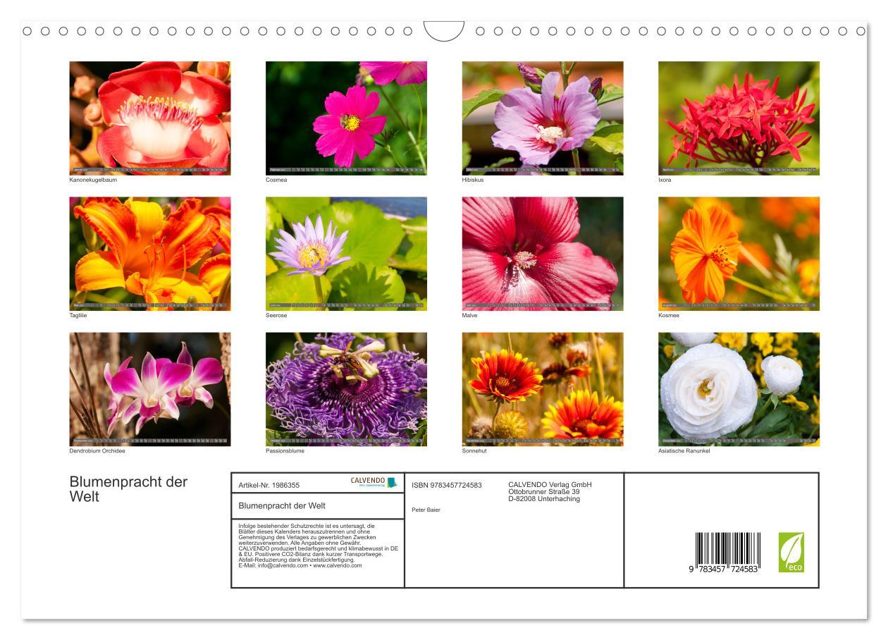Beispielinhalt (Bild) Blumenpracht der Welt (Wandkalender 2026 DIN A3 quer), CALVENDO Monatskalender