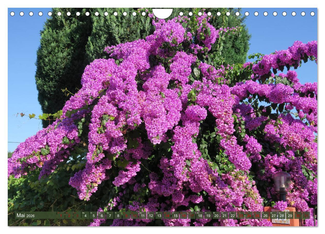 Beispielinhalt (Bild) Von Porto nach Santiago de Compostela (Wandkalender 2026 DIN A4 quer), CALVENDO Monatskalender