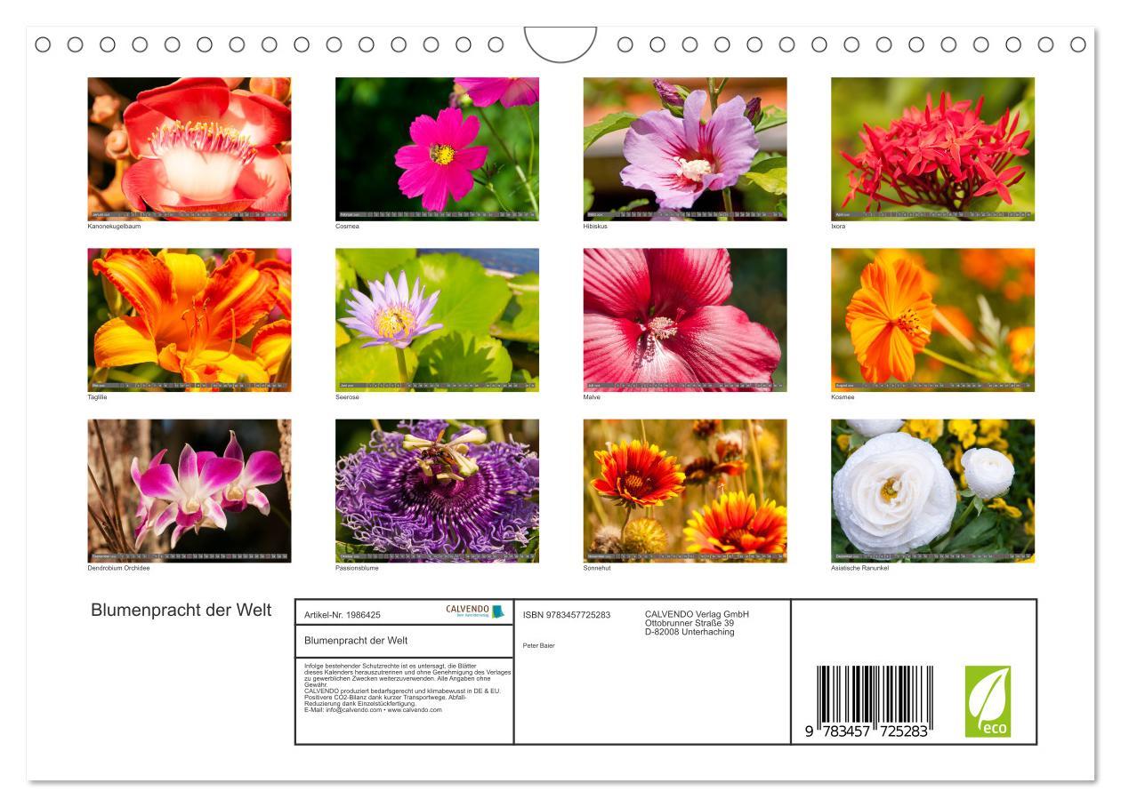 Beispielinhalt (Bild) Blumenpracht der Welt (Wandkalender 2026 DIN A4 quer), CALVENDO Monatskalender