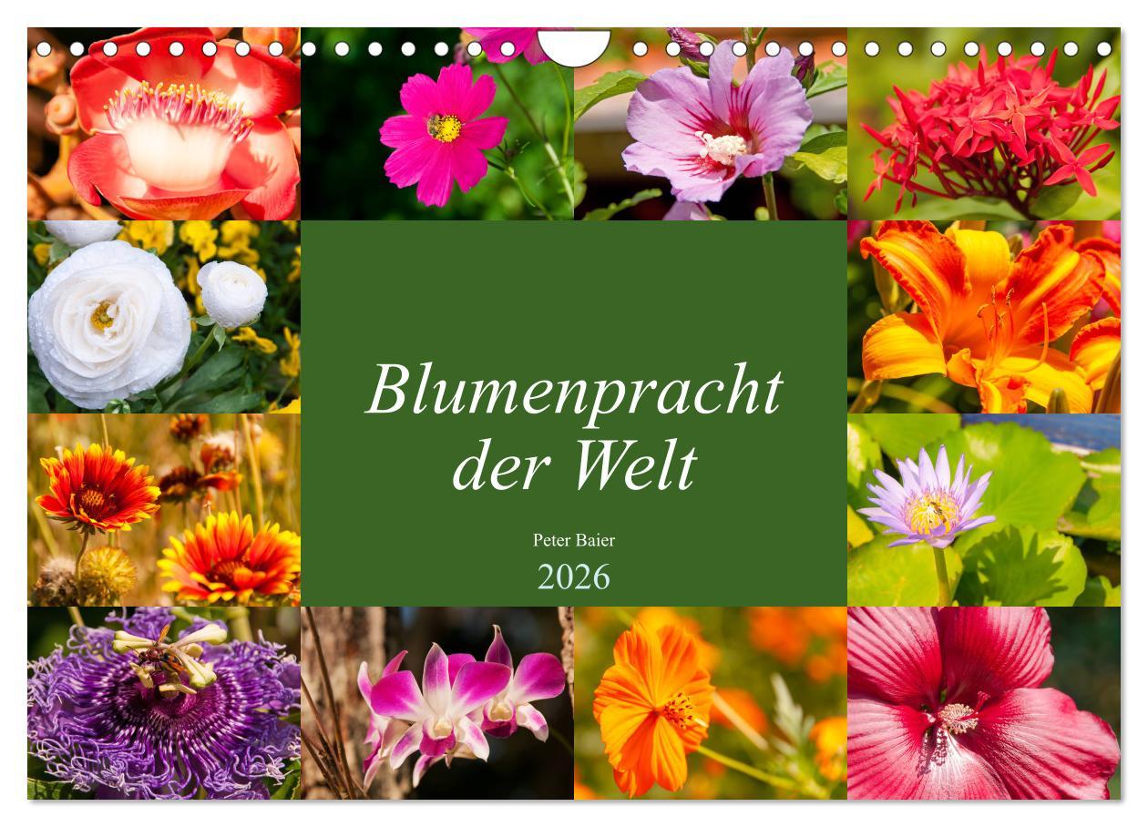 Vorderes Coverbild Blumenpracht der Welt (Wandkalender 2026 DIN A4 quer), CALVENDO Monatskalender