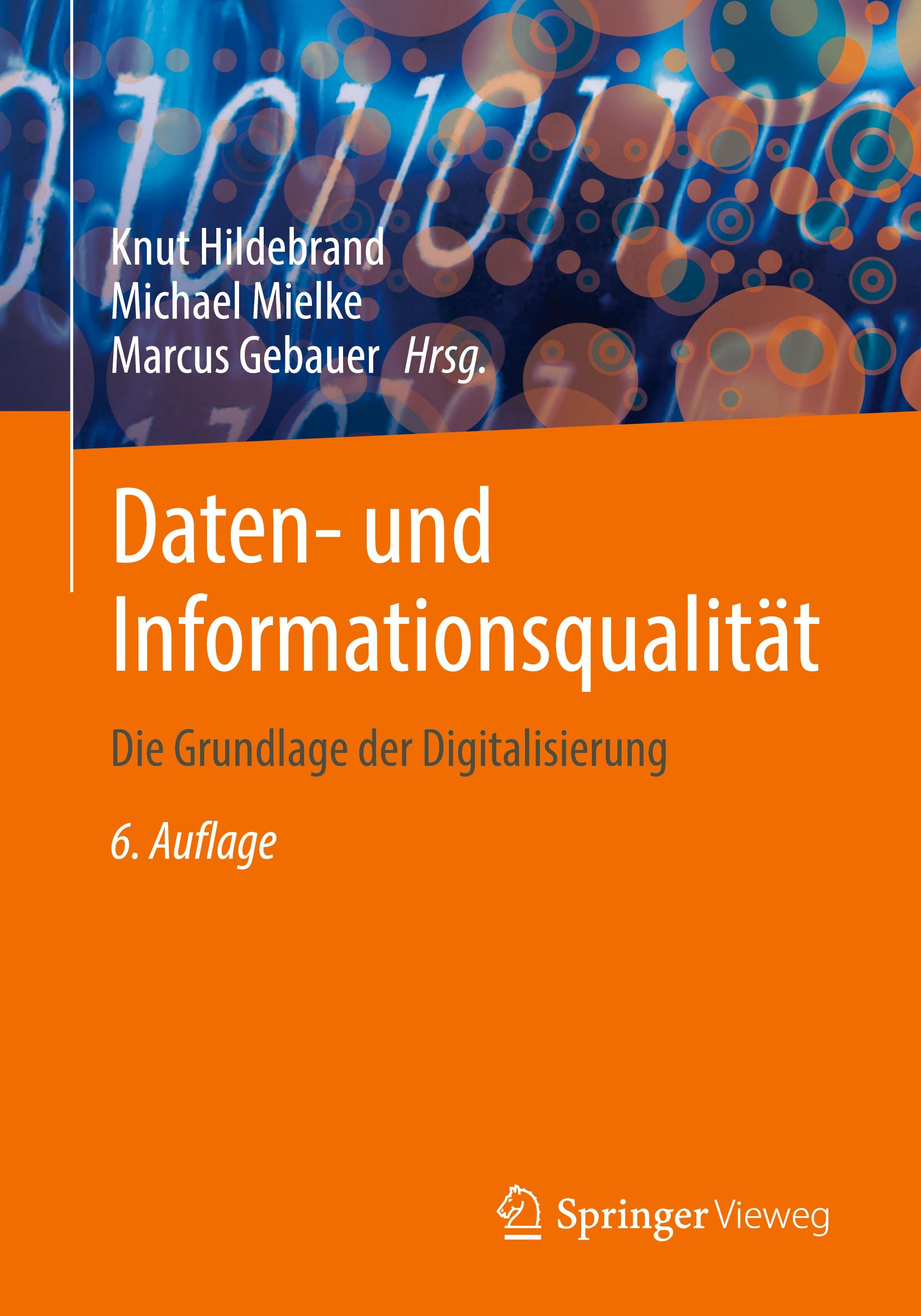 Vorderes Coverbild Daten- und Informationsqualität