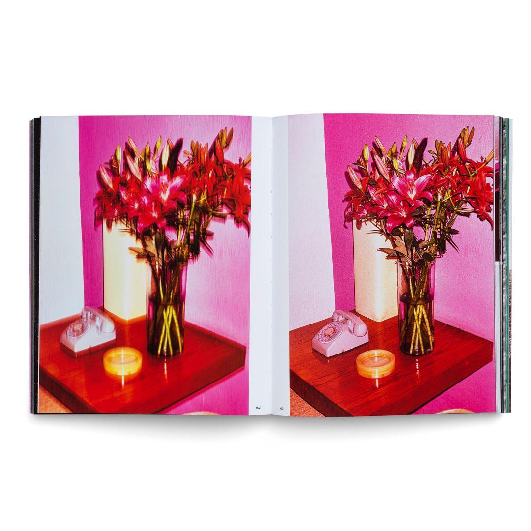 Beispielinhalt (Bild) Lake Verea: Modern Barragán